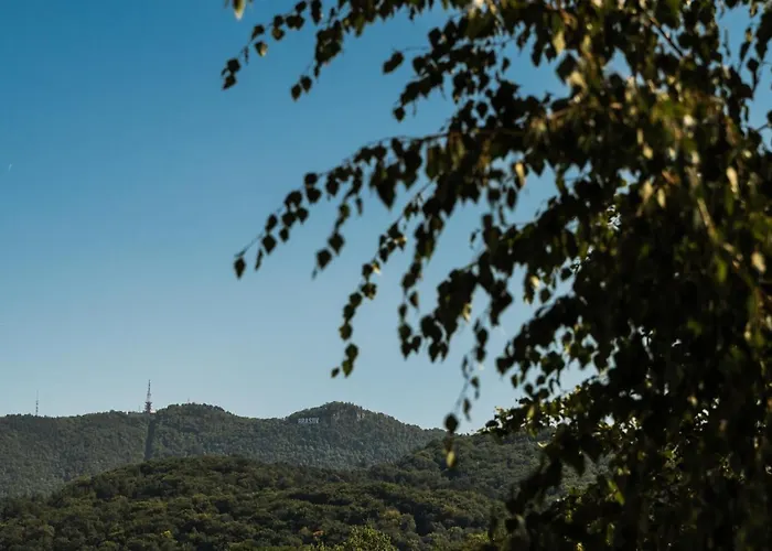 B26 Apartament Braszów